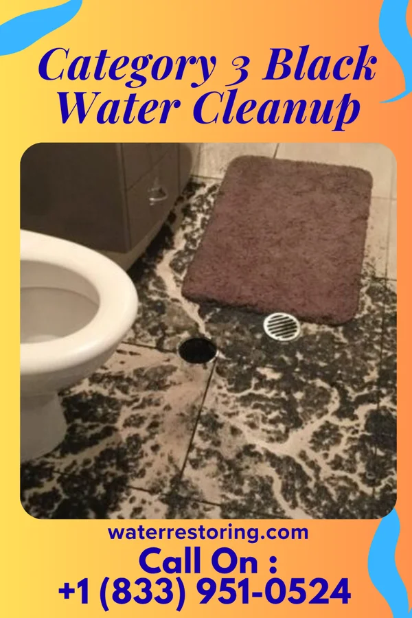 Category 3 Black Water Cleanup in Swayzee, IN