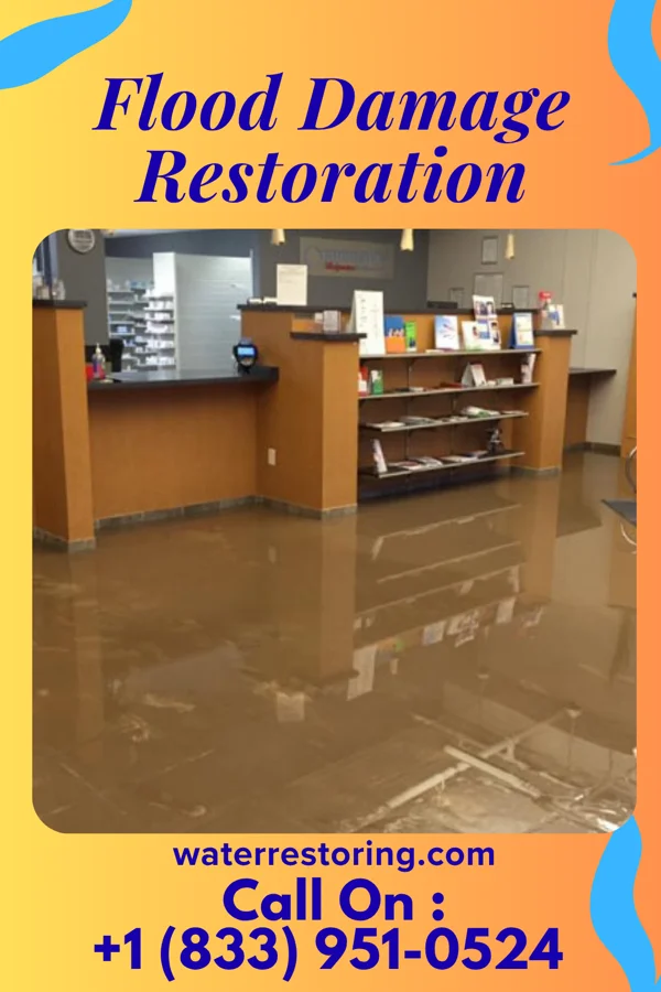Flood Damage Restoration in Swayzee, IN