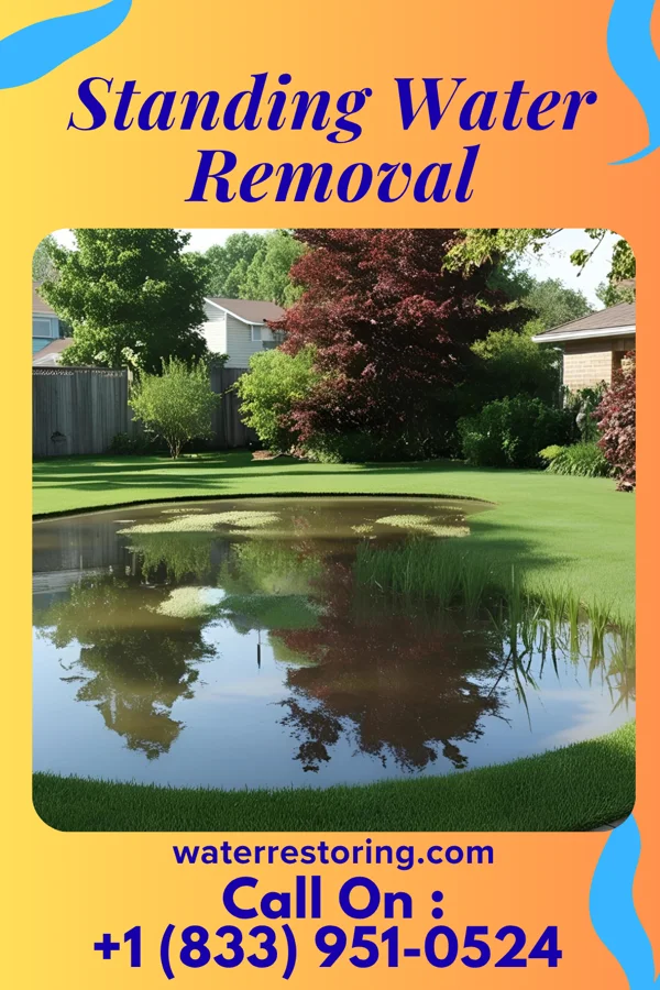 Standing Water Removal in Swayzee, IN
